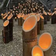 コスケの画像