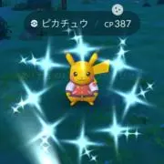 shiiio◉プロフ確認要の画像