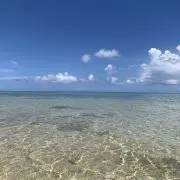 Yuの画像