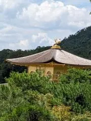 hirukuの画像