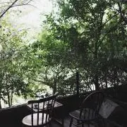 あいりの画像