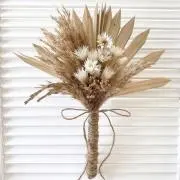 ニコ