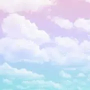 おにぎり丸