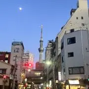 高菜の画像