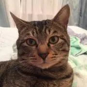 みづき   ゲームセンタープライズ屋の画像