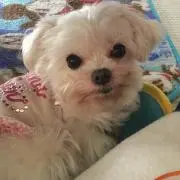 あい