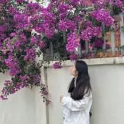 えりなの画像
