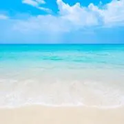 ミーツの画像