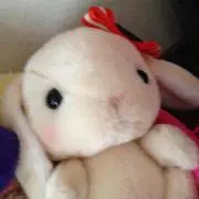 はるたま