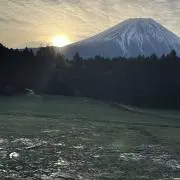 しゅんの画像