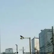 SS【プロフ確認お願いします】
