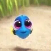 yの画像