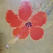 ☆なつの画像