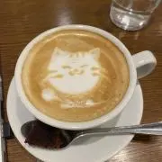 ラテの画像