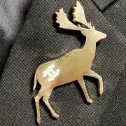 かんちゃんの画像
