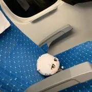 ランチョンマッチョの画像