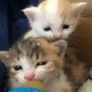 るぅちゃん