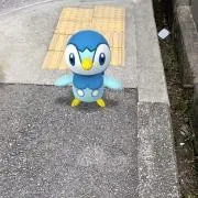 nicoの画像
