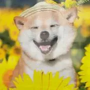 BOSSの画像