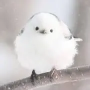 k.wの画像