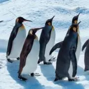 きのこの画像