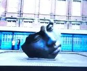 でこんの画像