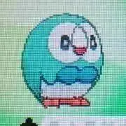 gonの画像