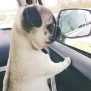 あっきぃ