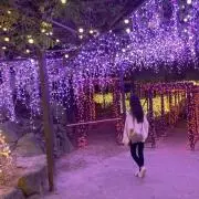 えの画像