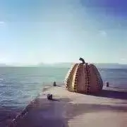 0803☆の画像