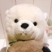 にゃんたの画像