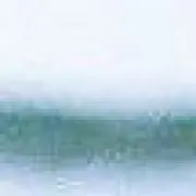 おさかなの画像