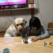 マッカーサー