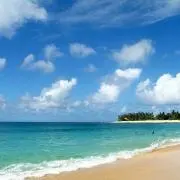 Mahalo☆☆☆の画像