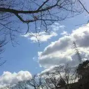 歩くセールスマンの画像