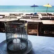 chi0ii6
