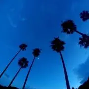 ko