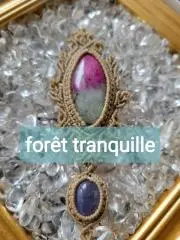 forêt tranquille