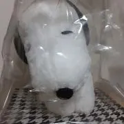 mizuta03210321の画像