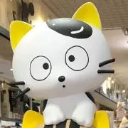 タマイの画像