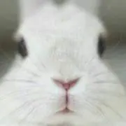 うさ★　プロフ絶対に読んでください❗❗の画像