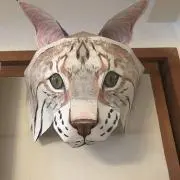 ソラCATの画像