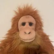 ぶに　プロフ読んでね！の画像