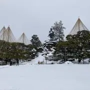 ぬらりの画像