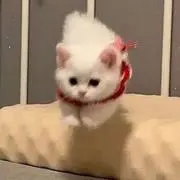 sa ❤︎の画像