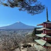 Ya17Saの画像