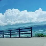 たかくん