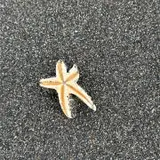 ロトの画像