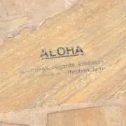 alooohaの画像