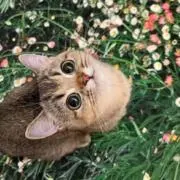 ruppの画像